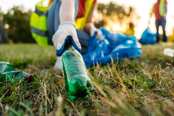 Recycling Services for Junk in White Mountain Lake, AZ